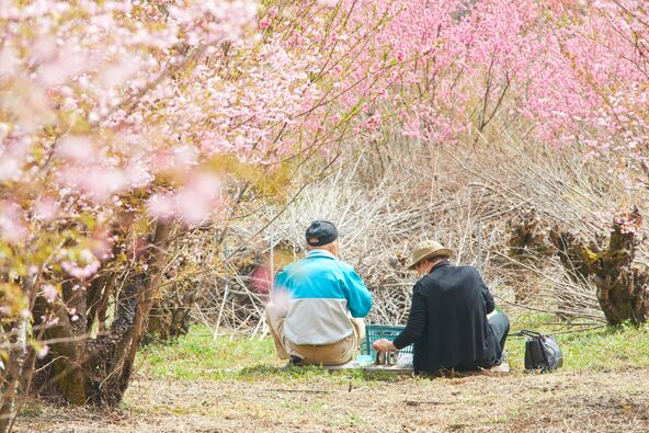 写真提供：埼玉県 / 複製・再転載禁止