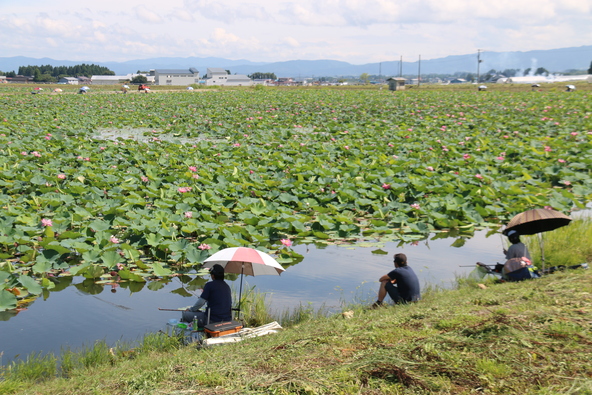 釣り初心者の子供も、放流された魚を狙いながら楽しめます（画像提供：羽後町）