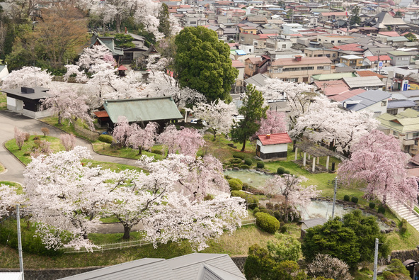 画像提供：上山市観光物産協会