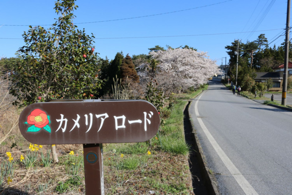 画像提供：大船渡市