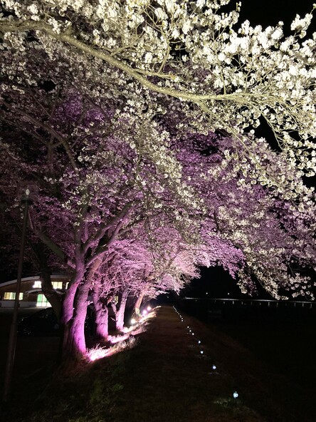 非日常感あふれる雰囲気を堪能しましょう（画像提供：南会津町観光物産協会）