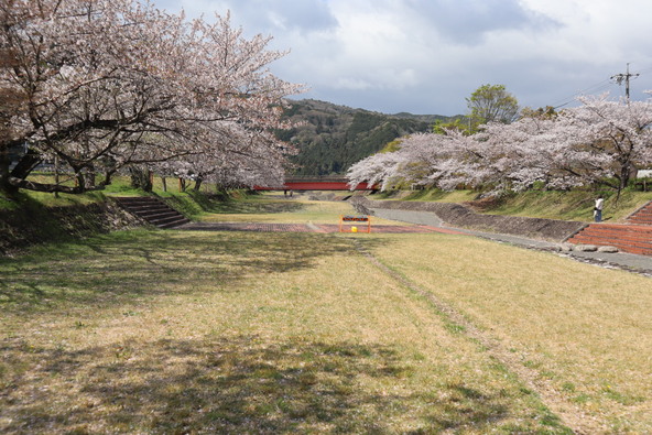2026年4月2日の様子