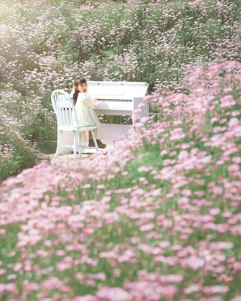 一般社団法人世羅町観光協会