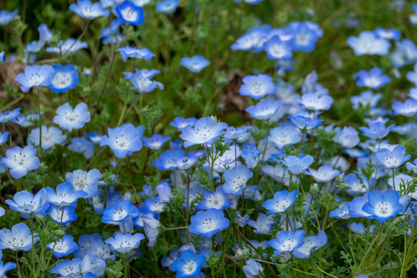 画像はイメージです（画像提供：wata / PIXTA）