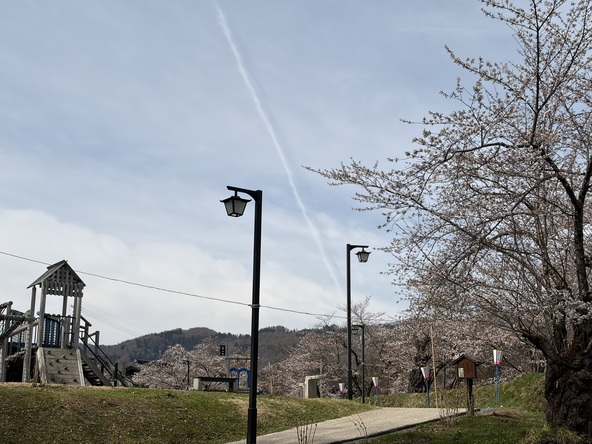 2026年4月10日の様子