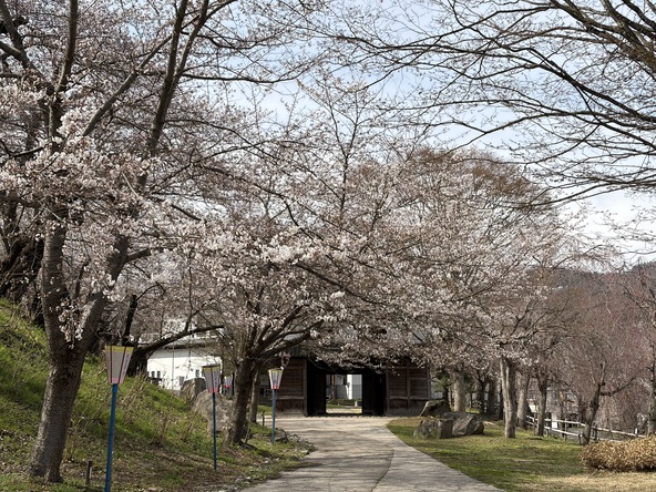 2026年4月10日の様子
