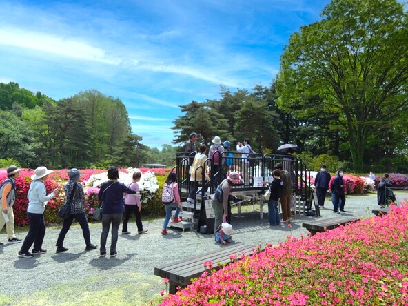 上からも眺められる「神代植物公園」の見晴台（過去の様子）