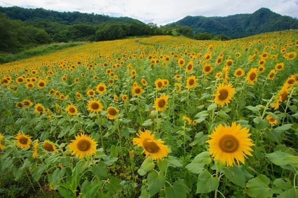 会津盆地を一望できるロケーション