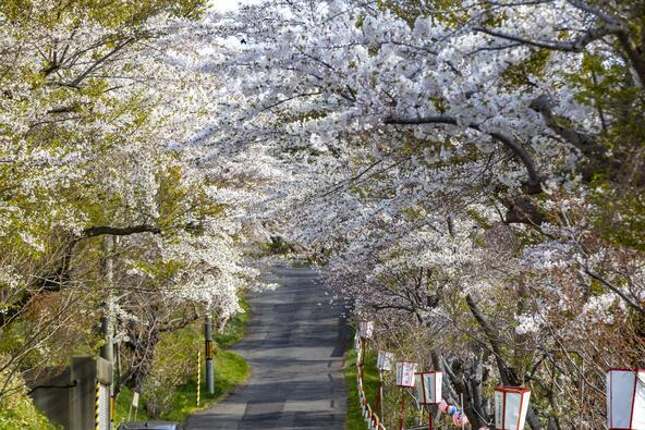 画像提供：室蘭観光協会