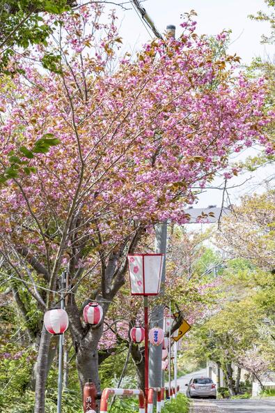 画像提供：室蘭観光協会