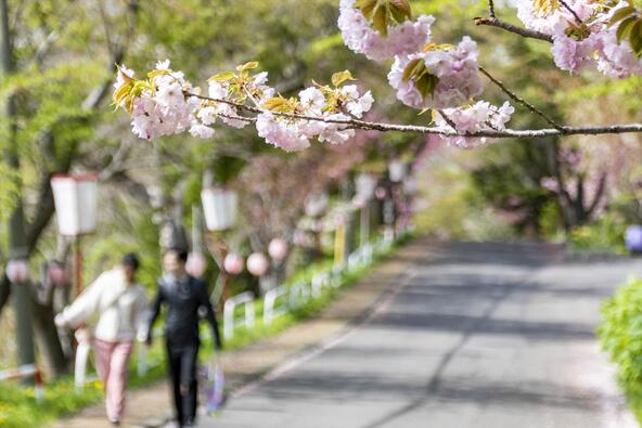 画像提供：室蘭観光協会