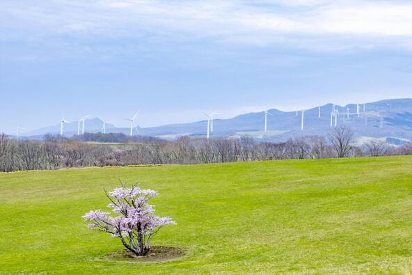 画像提供：室蘭観光協会