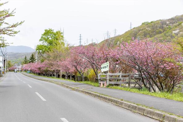 画像提供：室蘭観光協会
