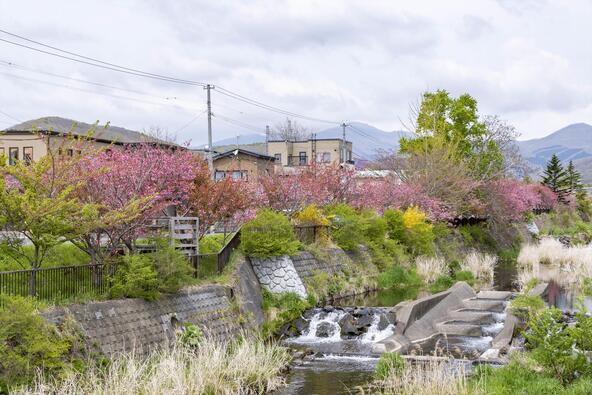 画像提供：室蘭観光協会