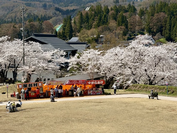 2026年4月14日の様子