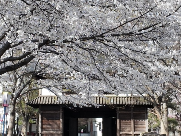 2026年4月14日の様子