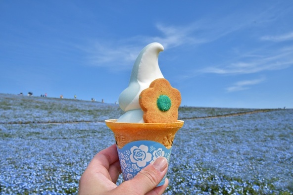 「ネモフィラブルーソフト」や「おはなソフト」などの春限定スイーツも登場