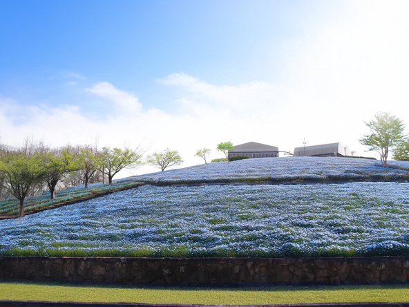 注目の新名所「こうべアグリパーク」