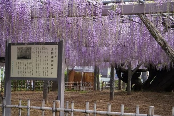 日替わりでさまざまなイベントが開催されます
