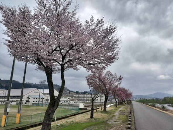 2026年4月16日の様子