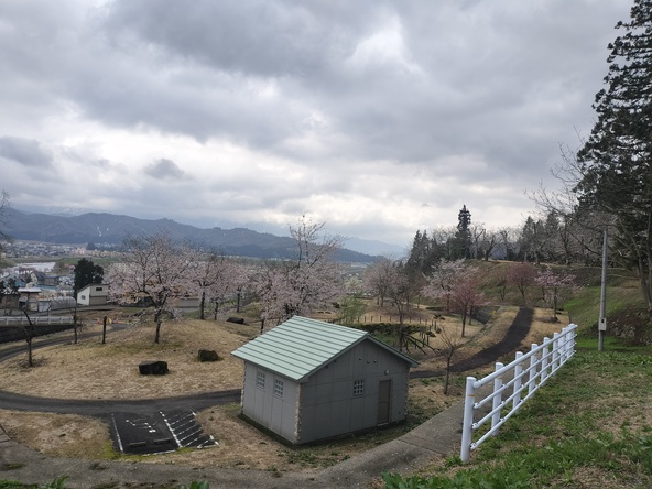 2026年4月16日の様子