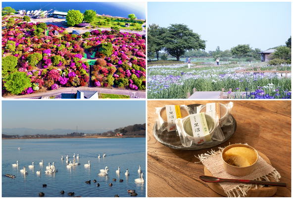 里沼文化が息づく美しいまち