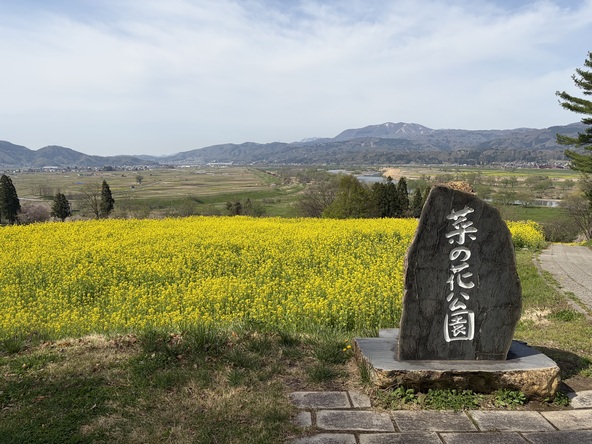 2026年4月17日の様子