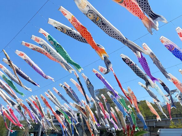 約180匹のこいのぼりを掲揚するほか、GW中の特定日には、こいのぼり作りワークショップも開催