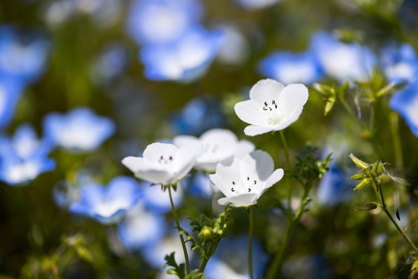 （画像提供：Catsu / PIXTA）