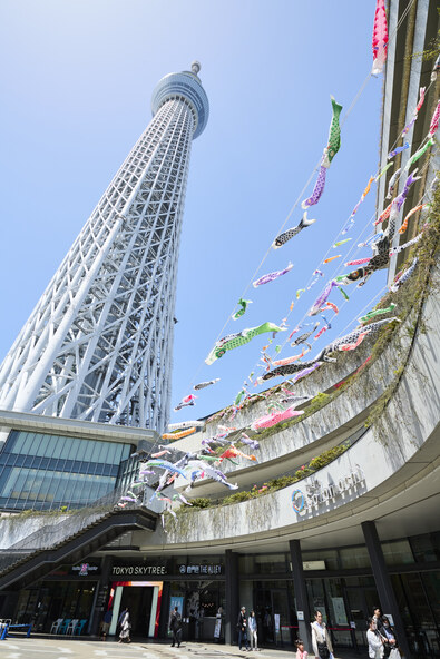 アナゴたちののぼりを探してみてくださいね