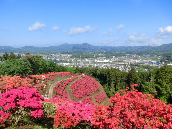 ハイキング気分で山頂からの大パノラマを楽しもう！