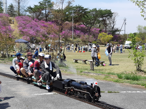 「根の上高原 つつじまつり」の様子（画像提供：一般社団法人岐阜県観光連盟）