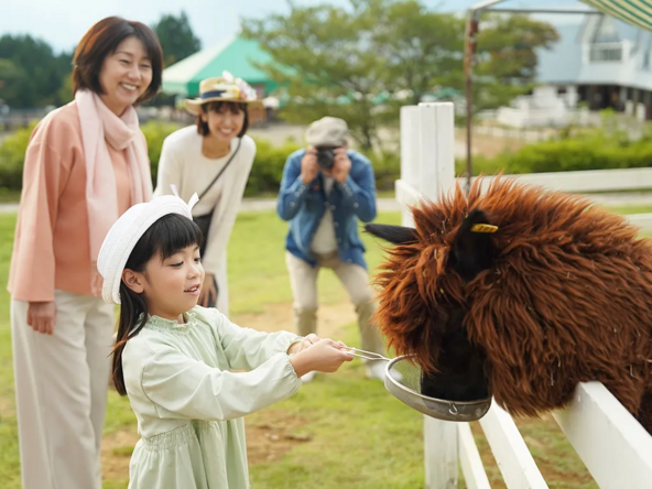 もこもこのアルパカなど、動物たちにおやつをあげる体験も親子に人気