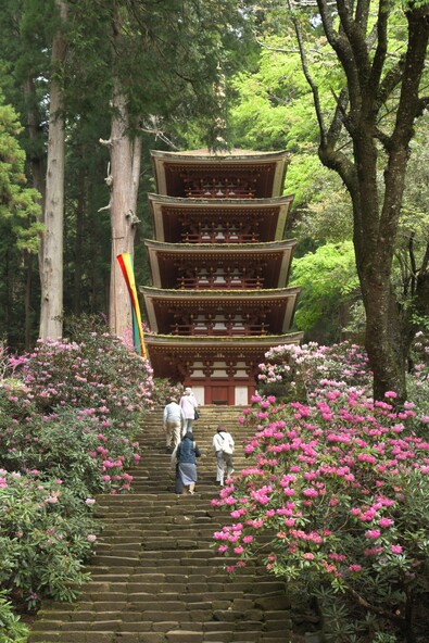 森の中に美しくたたずむ国宝・五重塔（画像提供：室生寺）