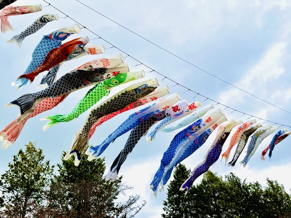 画像提供：小山市観光協会