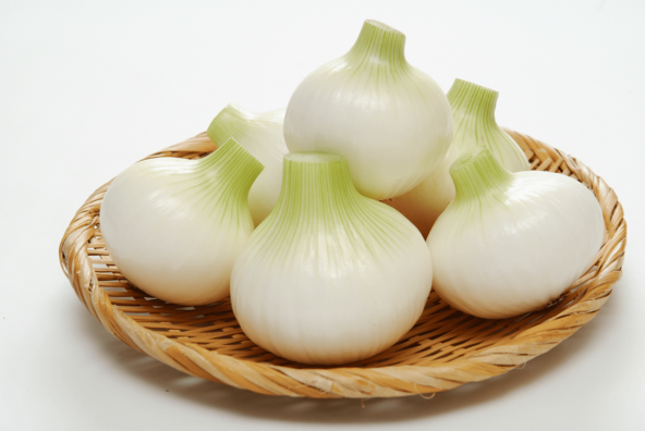 みずみずしい「白子たまねぎ」