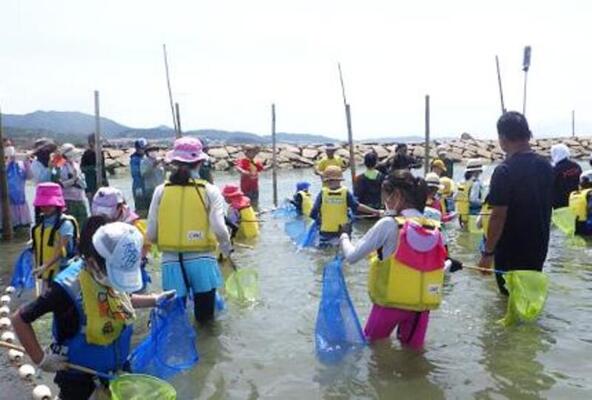 地域の海の豊かさを知り環境保全の大切さを実感できる体験です