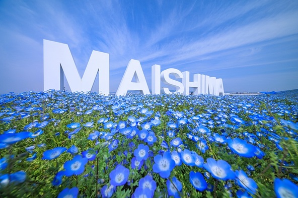 空とネモフィラのブルーに映える白い「MAISHIMA」モニュメント