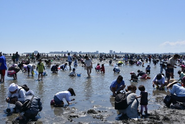 都心から一番近い潮干狩りスポットで潮干狩り体験