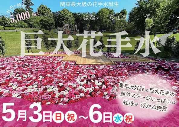 圧巻の「巨大花手水」で写真撮影もおすすめ