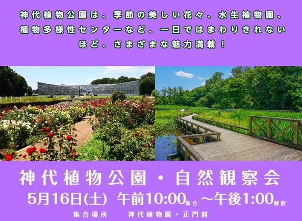 初夏の自然を楽しみましょう