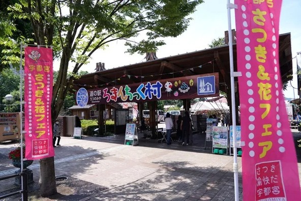 立派なサツキが勢ぞろいするイベントです（画像提供：一般社団法人 宇都宮観光コンベンション協会）