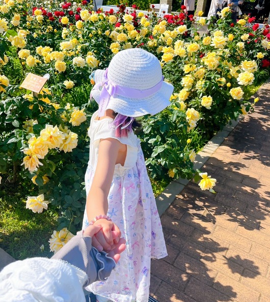 親子で歩きたい、バラいっぱいの絶景スポット