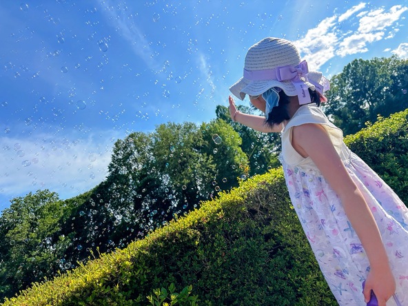 思わず写真を撮りたくなる、夢いっぱいの演出