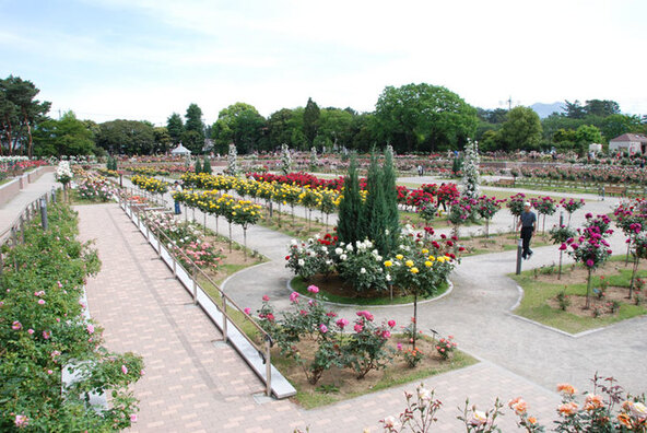 提供：ググっとぐんま写真館（http://gunma-dc.net/）
