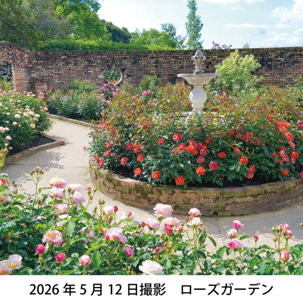 四季折々の花が咲く里山庭園