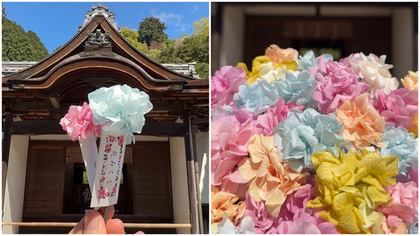 プリザーブドフラワーのあじさいの茎の部分には、おみくじが結ばれています