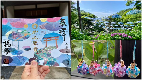 「縁満おまもり」はあじさいウィークに合わせた新色をリリース！
