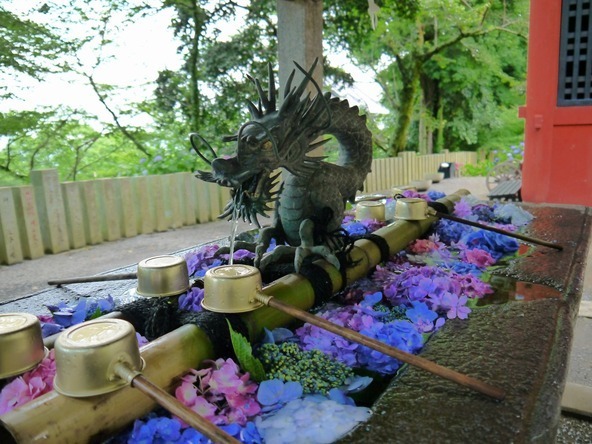 あじさいの花手水も楽しめます
