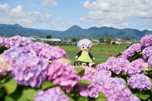 ステージイベントでは、開成町の公式マスコットキャラクター「あじさいちゃん」の誕生日会も行われますよ♪